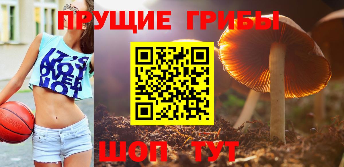 Галлюциногенные грибы Cubensis Казань